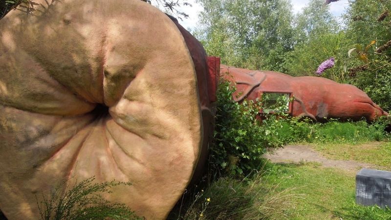 INSIDE THE CASANUS: The worlds first anus hotel